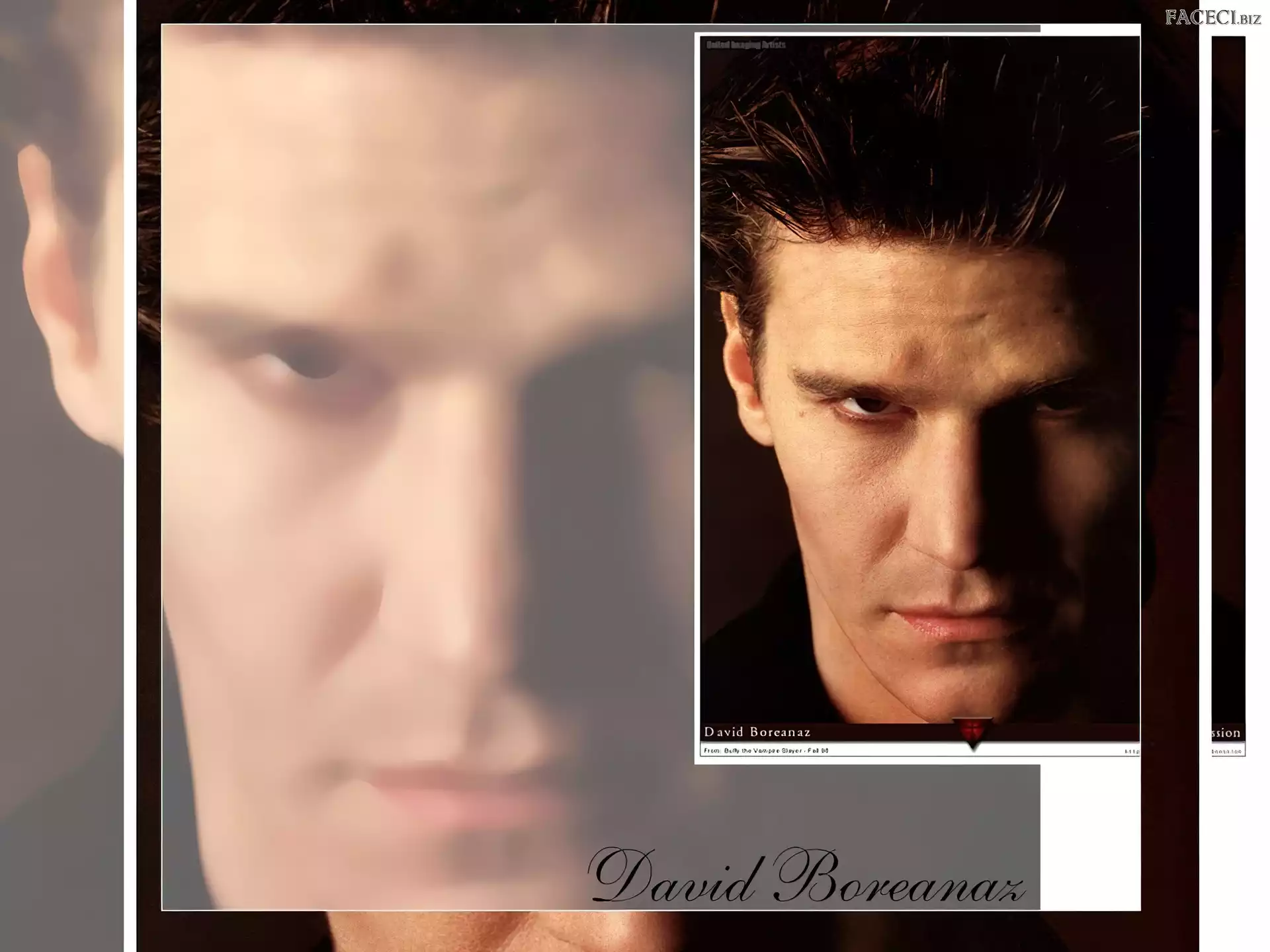 David Boreanaz, ciemne włosy